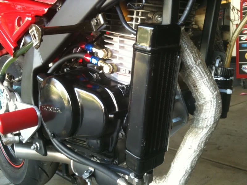 NSF100 Oil Cooler??